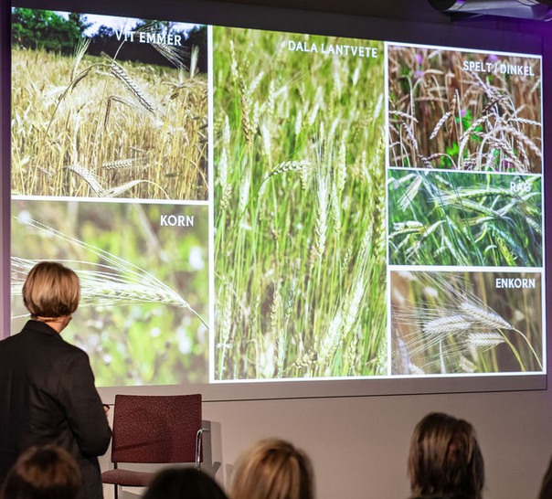 Talare på scen informerar om spannmål.