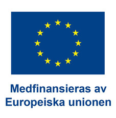 Europeiska unionens logotyp för medfinansiering.