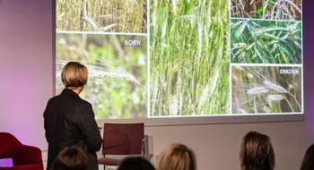 Föreläsare och publik tittar på storskärm.