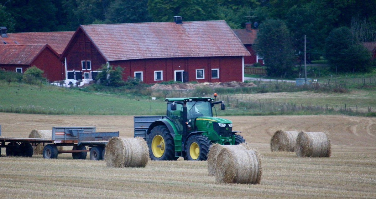 Traktor ute på fält samlar upp höbalar.