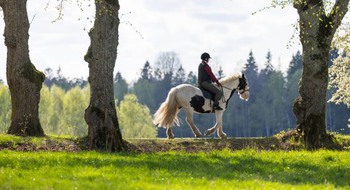 Person som rider på en häst. 