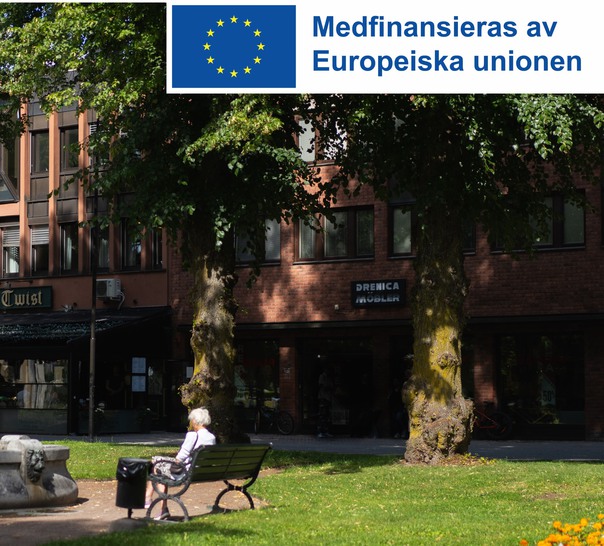 Person som sitter på en bänk i en lummig park. 