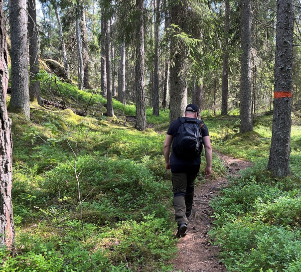 Person som promenerar längs en stig i skog.