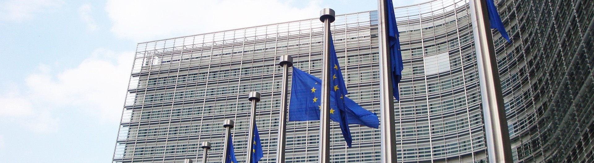Flera EU-flaggor på rad framför en stor byggnad i glas.