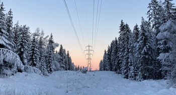 Kraftledning genom skog i vinterlandskap.