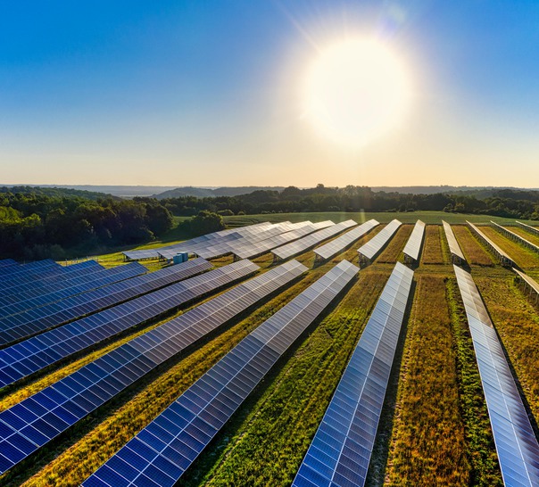 En stor solcellspark i strålande solsken.