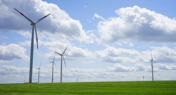 Flera vindkraftverk på ett grönt fält.