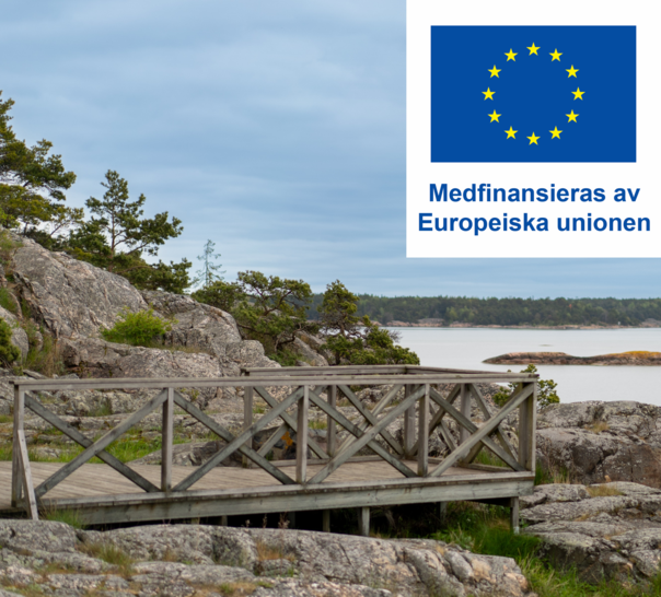 Skärgårdsmiljö på sommaren.