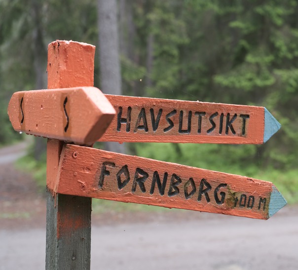 En träskylt som pekar i olika riktningar i ett skogsområde.